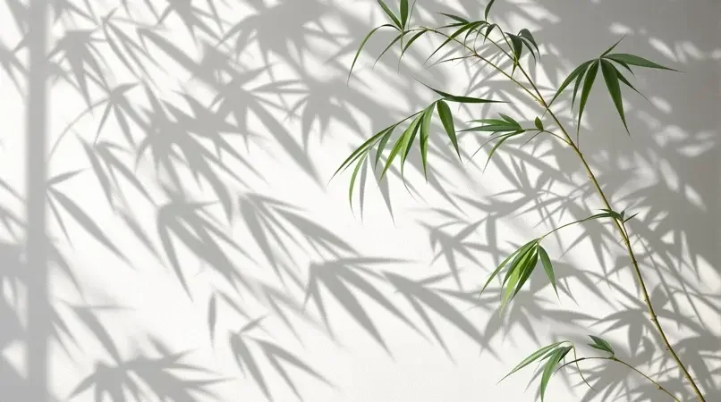 竹影摇风 - 中文字幕视频热播影像封面